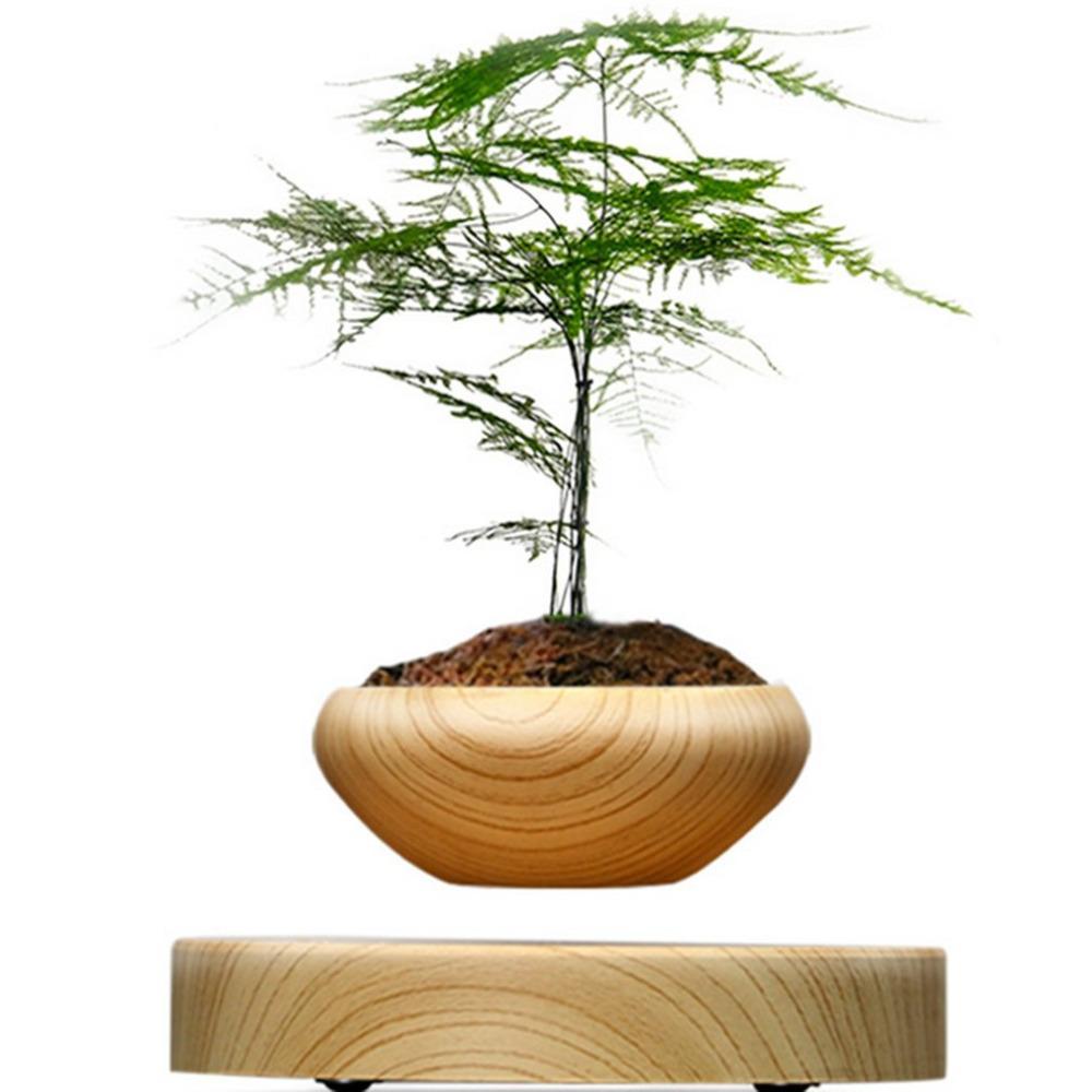 Levitating Plant air bonsai floating pot