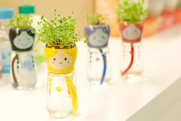 Mini DIY Magic Grass Head Babushka Planters