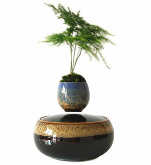 Levitating Air-Floating Bonsai Pot