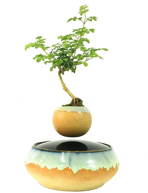 Levitating Air-Floating Bonsai Pot