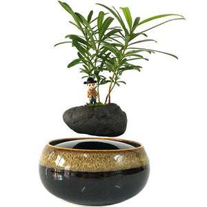 Levitating Air-Floating Bonsai Pot