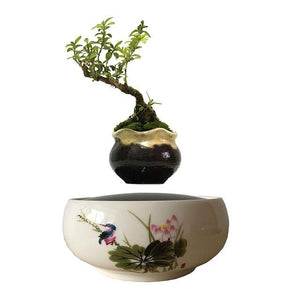 Levitating Air-Floating Bonsai Pot