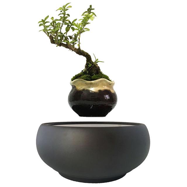 Levitating Air-Floating Bonsai Pot