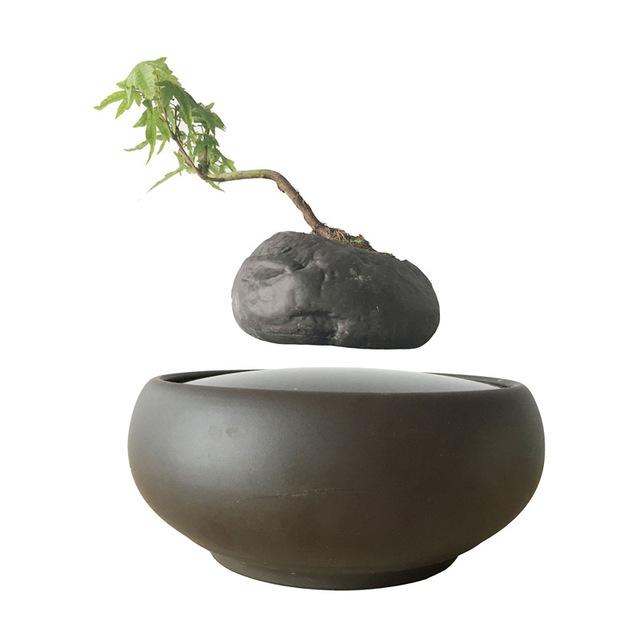 Levitating Air-Floating Bonsai Pot