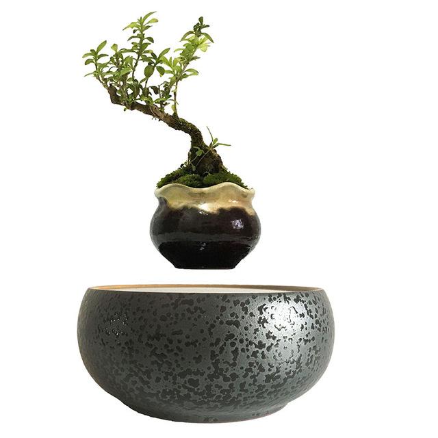 Levitating Air-Floating Bonsai Pot