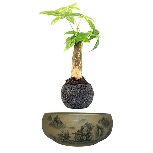 Levitating Air-Floating Bonsai Pot