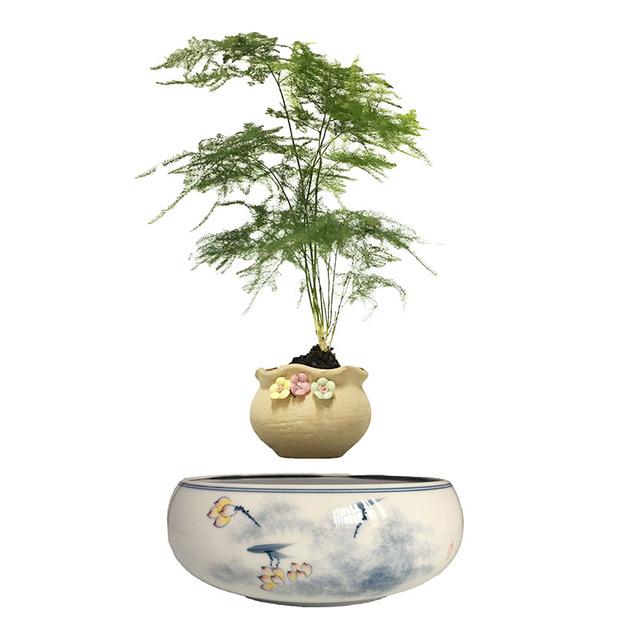 Levitating Air-Floating Bonsai Pot