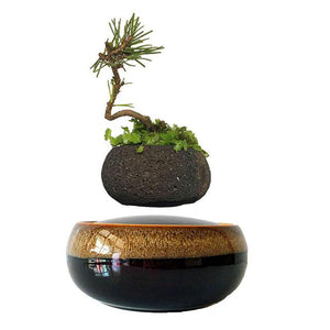 Levitating Air-Floating Bonsai Pot