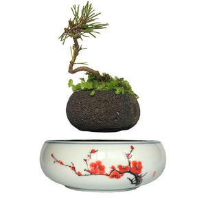 Levitating Air-Floating Bonsai Pot