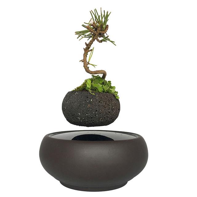 Levitating Air-Floating Bonsai Pot