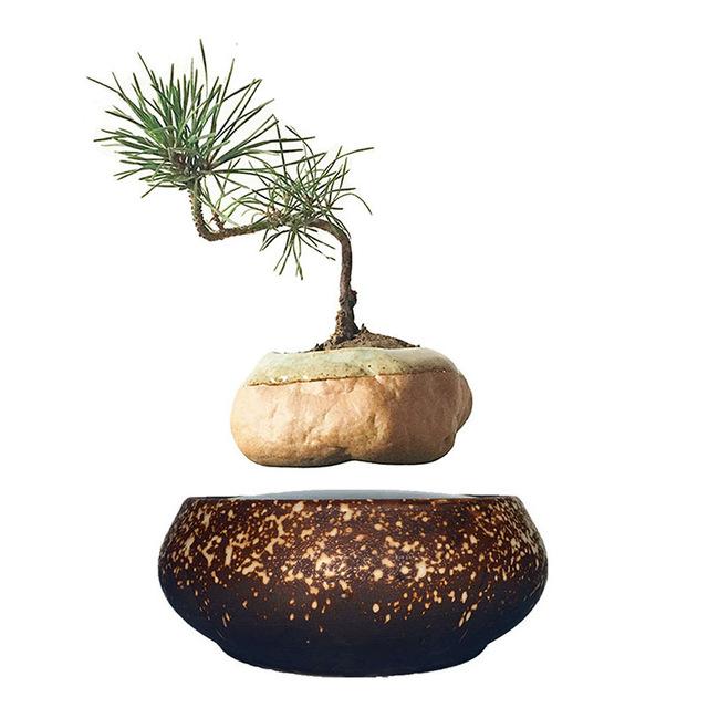 Levitating Air-Floating Bonsai Pot