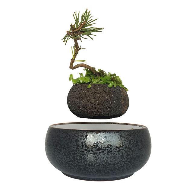 Levitating Air-Floating Bonsai Pot