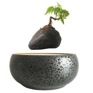 Levitating Air-Floating Bonsai Pot