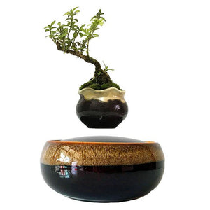 Levitating Air-Floating Bonsai Pot