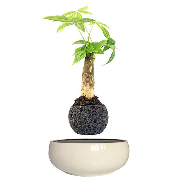 Levitating Air-Floating Bonsai Pot