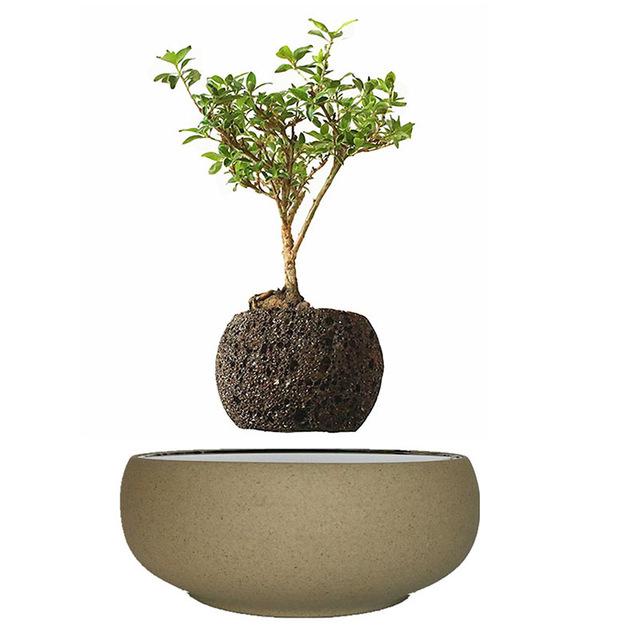 Levitating Air-Floating Bonsai Pot