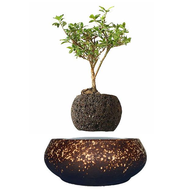 Supernova Base Levitating Air-Floating Bonsai Pot