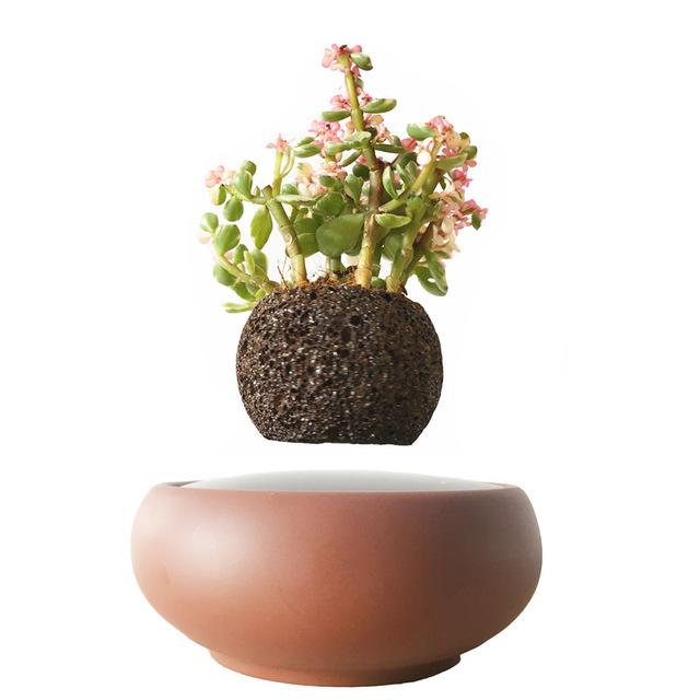 Desert Sand Base Levitating Air-Floating Bonsai Pot