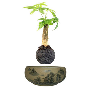 Japanese Village Base Levitating Air-Floating Bonsai Pot