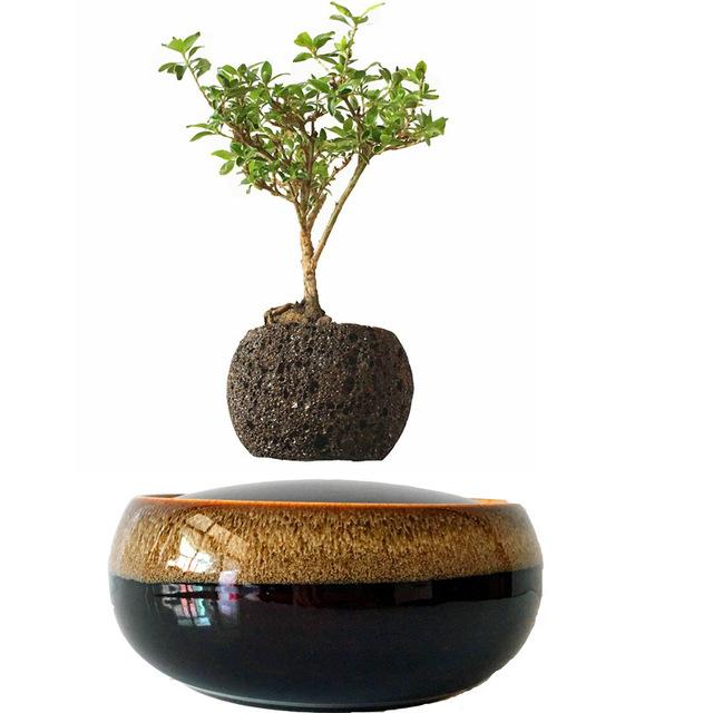 Black Eye Base Levitating Air-Floating Bonsai Pot