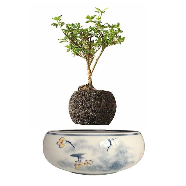 Yellow Flowers Ceramic Base Levitating Air-Floating Bonsai Pot