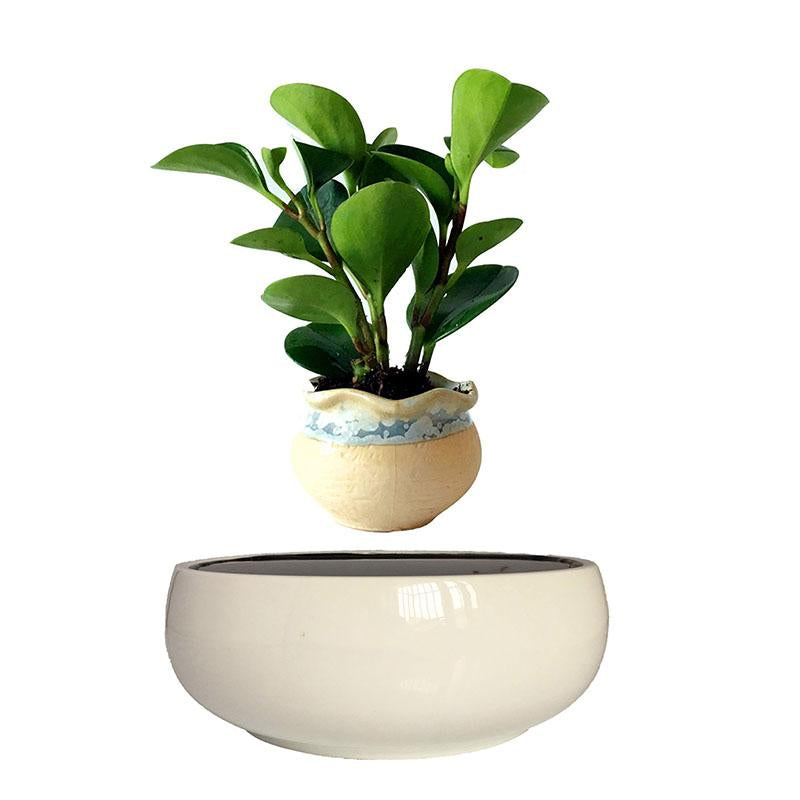 White Ceramic Base Levitating Air-Floating Bonsai Pot