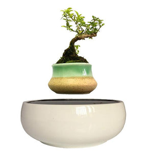 White Ceramic Base Levitating Air-Floating Bonsai Pot