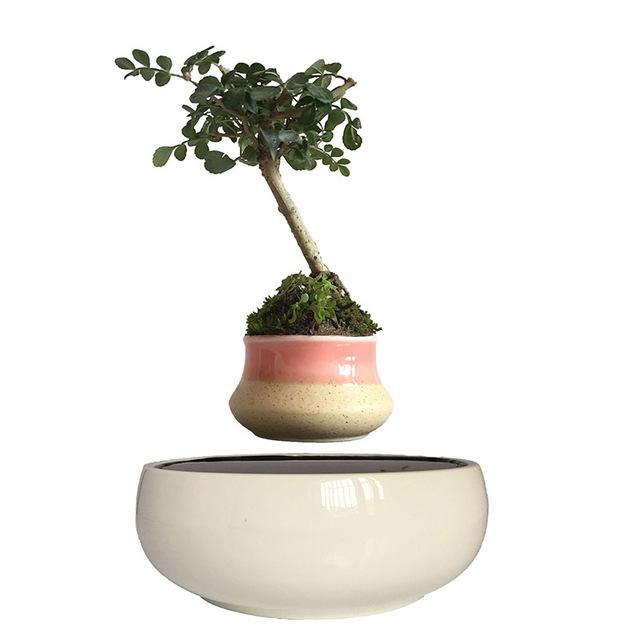 White Ceramic Base Levitating Air-Floating Bonsai Pot