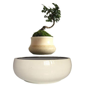 White Ceramic Base Levitating Air-Floating Bonsai Pot