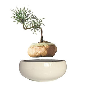 White Ceramic Base Levitating Air-Floating Bonsai Pot