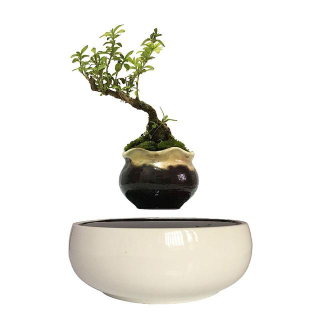 White Ceramic Base Levitating Air-Floating Bonsai Pot