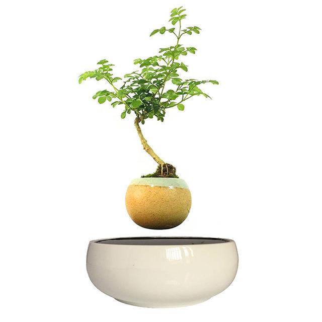 White Ceramic Base Levitating Air-Floating Bonsai Pot