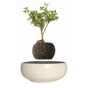 White Ceramic Base Levitating Air-Floating Bonsai Pot