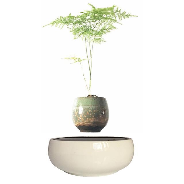 White Ceramic Base Levitating Air-Floating Bonsai Pot