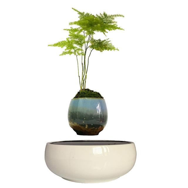 White Ceramic Base Levitating Air-Floating Bonsai Pot