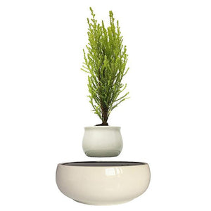 White Ceramic Base Levitating Air-Floating Bonsai Pot