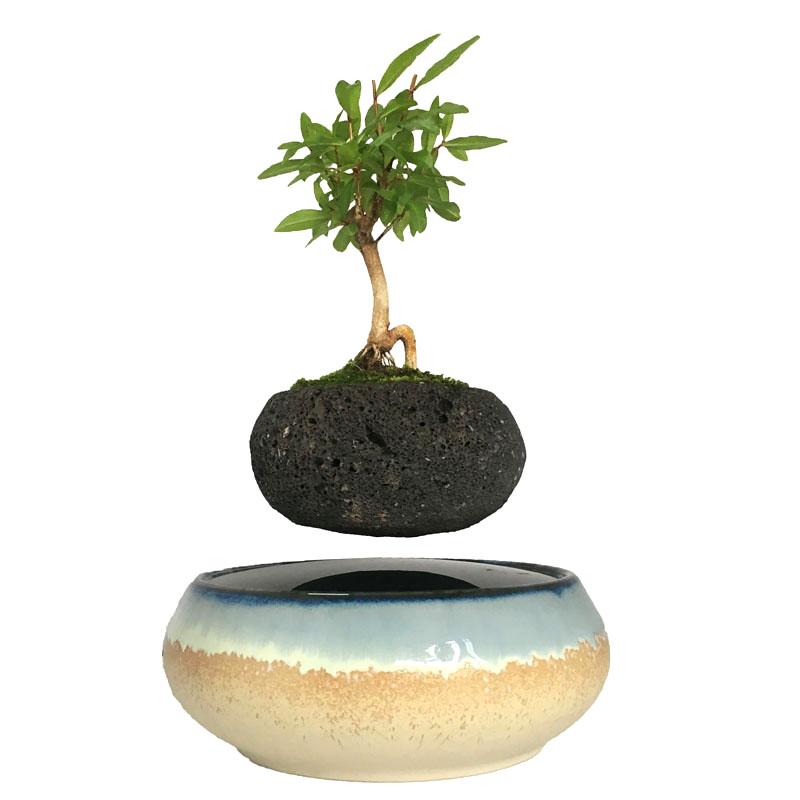 Seaside Base Levitating Air-Floating Bonsai Pot