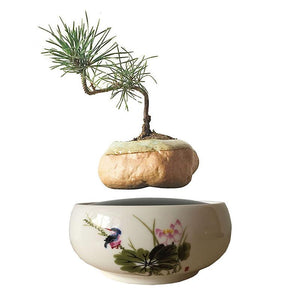 Song Bird White Ceramic Base Levitating Air-Floating Bonsai Pot