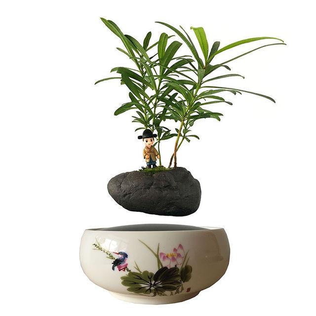 Song Bird White Ceramic Base Levitating Air-Floating Bonsai Pot