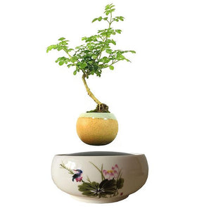 Song Bird White Ceramic Base Levitating Air-Floating Bonsai Pot