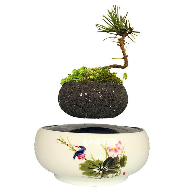 Song Bird White Ceramic Base Levitating Air-Floating Bonsai Pot