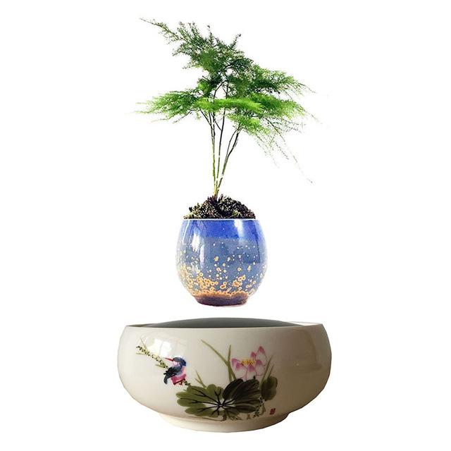 Song Bird White Ceramic Base Levitating Air-Floating Bonsai Pot