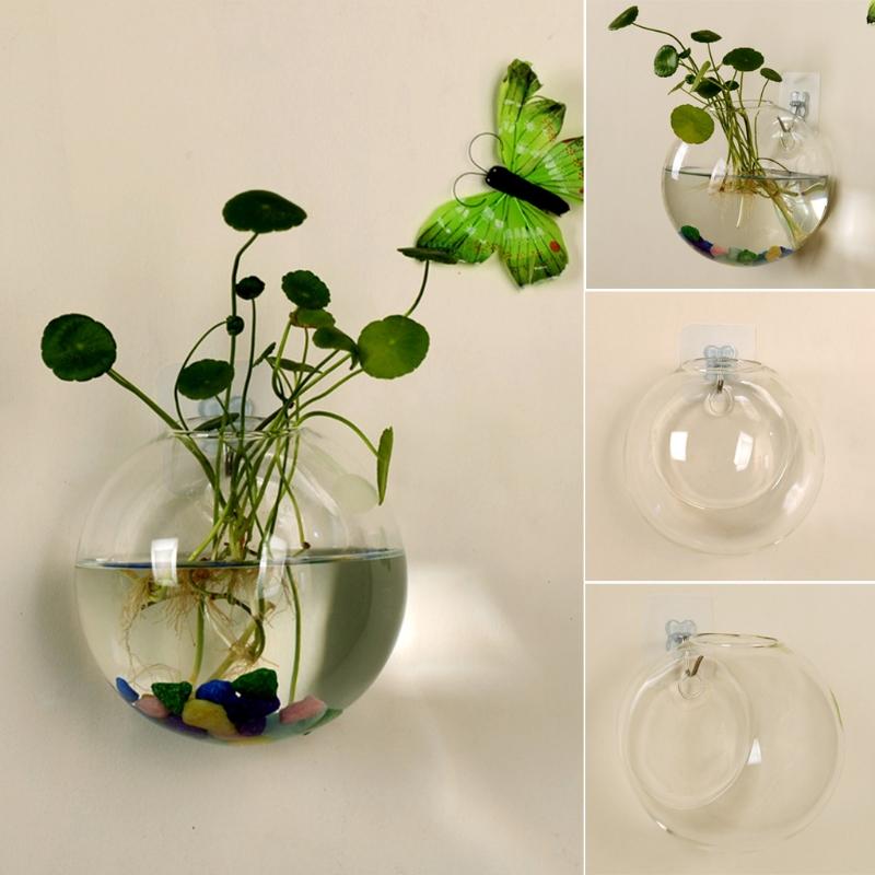 8CM Semicircular Glass Vase Wall Hanging Hydroponic Terrarium