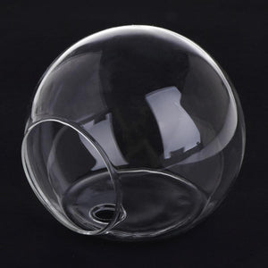 8CM Semicircular Glass Vase Wall Hanging Hydroponic Terrarium