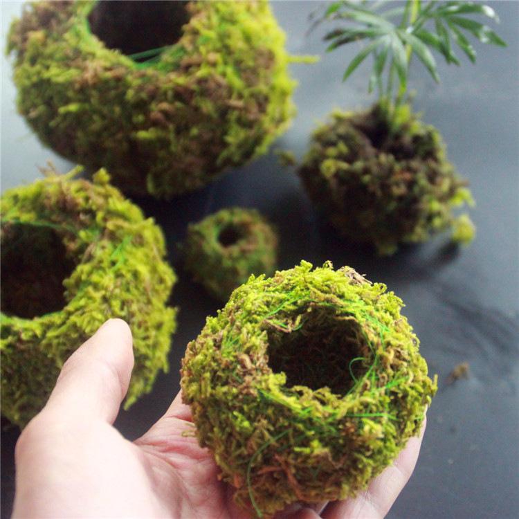 6/9/12CM Green Moss Ball Flower Pot