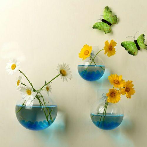 Wall Hanged Transparent Round Pot / Aquarium