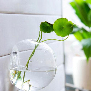 Wall Hanged Transparent Round Pot / Aquarium