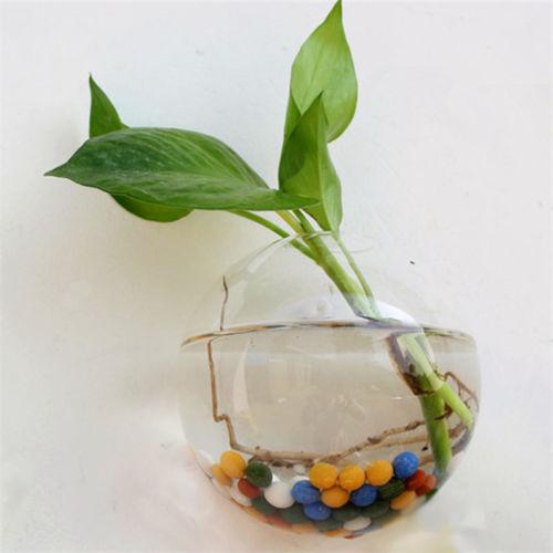 Wall Hanged Transparent Round Pot / Aquarium