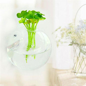 Wall Hanged Transparent Round Pot / Aquarium