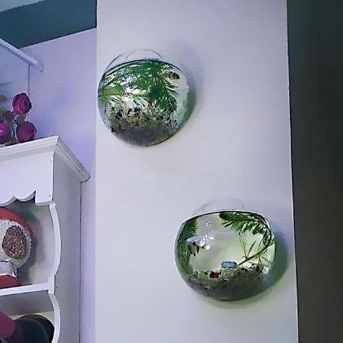 Wall Hanged Transparent Round Pot / Aquarium